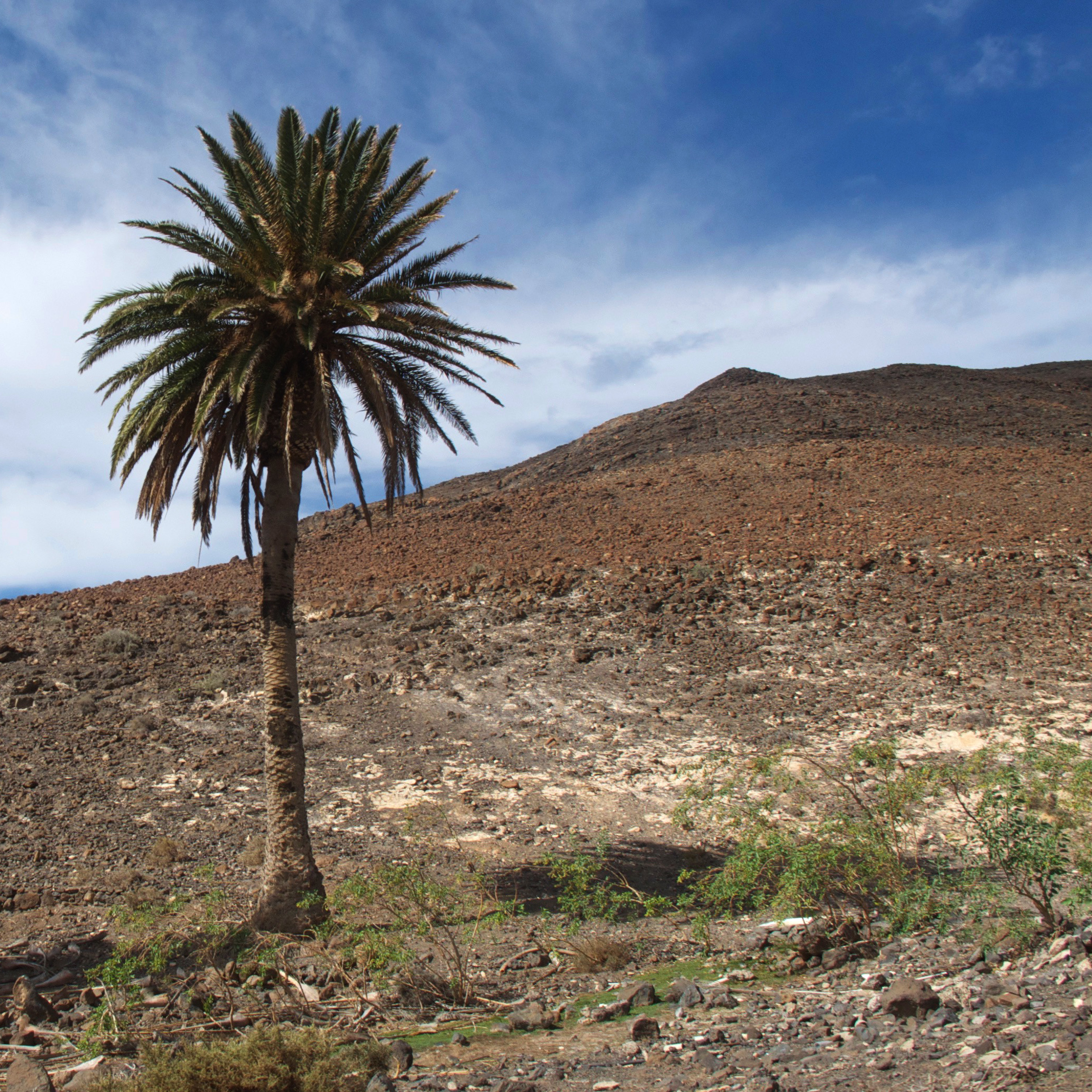 Paisaje de Fuerteventura, Landschaft von Fuerteventura